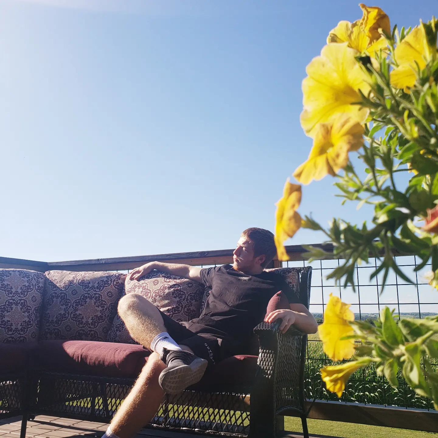 Chilling on a nice summer day